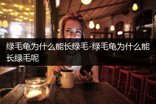 绿毛龟为什么能长绿毛-绿毛龟为什么能长绿毛呢